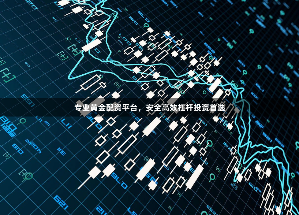 专业黄金配资平台，安全高效杠杆投资首选
